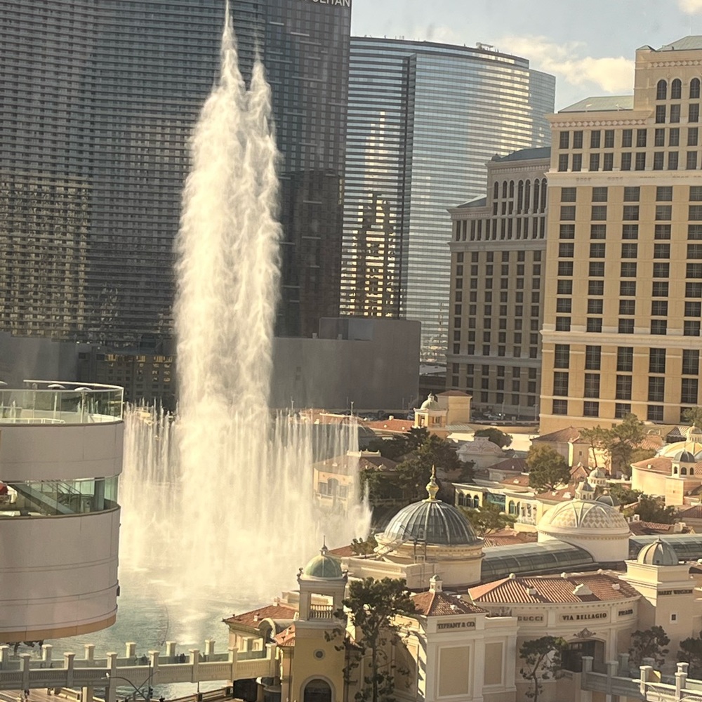 Meet your Posher, Shauna